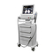 Smas Ultrasound Hifu Beauty Machine 2d 3d สำหรับผิวหน้าและผิวกาย