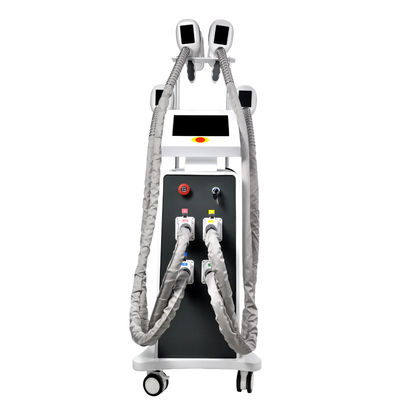 ไขมันตรึง Cryolipolysis Slimming Machine 800W OEM