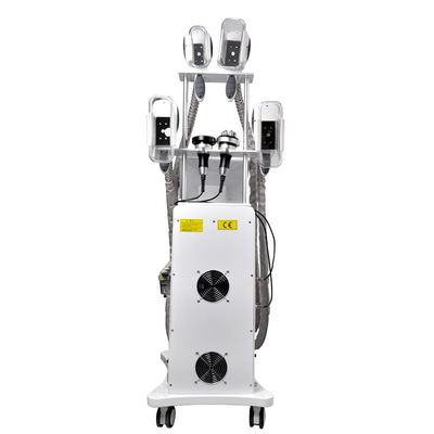 ไขมันตรึง Cryolipolysis Slimming Machine 800W OEM