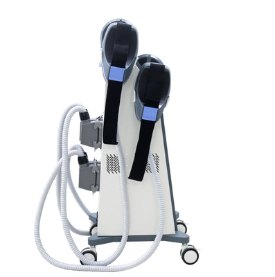 เครื่องกระตุ้นกล้ามเนื้อ Neo Rf Two Handle EMS เครื่อง