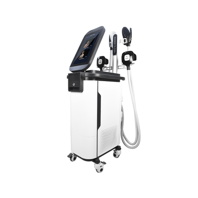 2 In 1 Ems Cryo Body Sculpting Machine  4 จับเครื่องกล้ามเนื้อ Estimulador