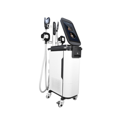 2 In 1 Ems Cryo Body Sculpting Machine  4 จับเครื่องกล้ามเนื้อ Estimulador