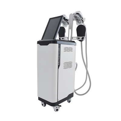 การใช้งานในโรงแรม Cryolipolysis EMS NEO Sculpting เครื่องลดน้ําหนักตั้ง