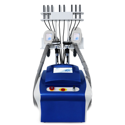 Cryolipolysisมืออาชีพ การกําจัดไขมัน Cryo Cellulite ลดไขมัน เครื่องเย็นไขมัน เครื่องลดน้ําหนักร่างกาย