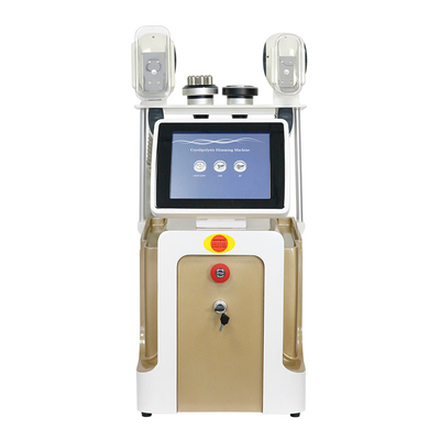 เครื่องเย็นไขมัน Cryolipolysis สําหรับลดน้ําหนัก