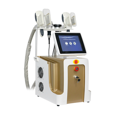 เครื่องเย็นไขมัน Cryolipolysis สําหรับลดน้ําหนัก