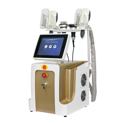 เครื่องเย็นไขมัน Cryolipolysis สําหรับลดน้ําหนัก