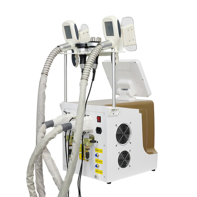 เครื่องเย็นไขมัน Cryolipolysis สําหรับลดน้ําหนัก