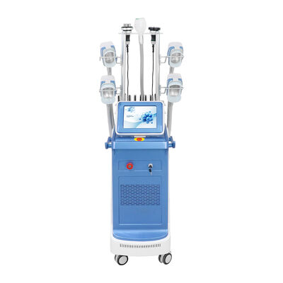 เครื่องแช่แข็งไขมัน Cryolipolysis รอบ 360 องศาอุปกรณ์กระชับสัดส่วน Criolipolisis แบบไม่รุกรานร่างกายสำหรับคลินิกซาลอนลดไขมันกำจัดเซลลูไลท์